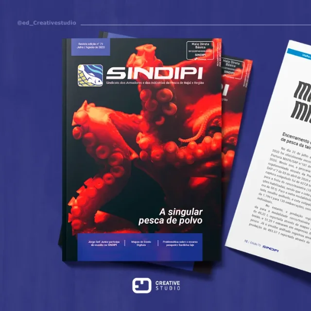 ED Creative Studio project for Sindipi